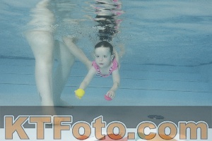 Foto 4255493