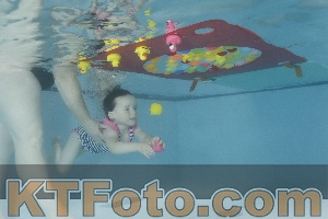 Foto 4255495