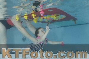 Foto 4255497