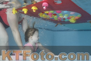 Foto 4255500
