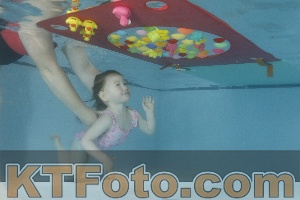 Foto 4255509