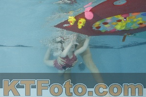 Photo 4255514