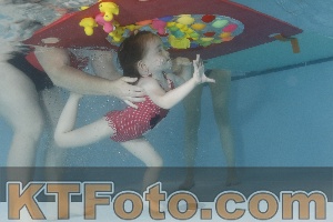 Photo 4255518