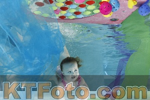 Photo 4301495