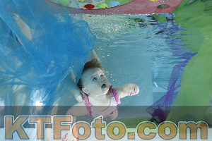 Photo 4301496
