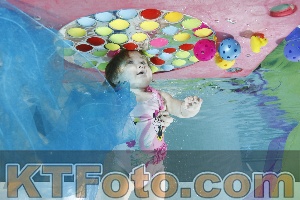 Photo 4301497