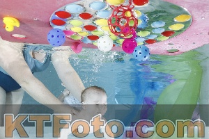 Photo 4301498