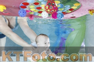 Photo 4301499