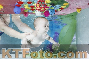 Photo 4301500