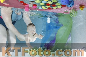 Photo 4301501
