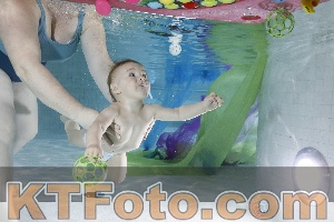 Photo 4301502