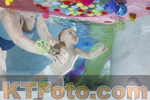Photo 4301503