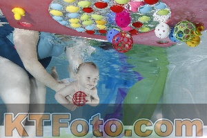 Photo 4301504