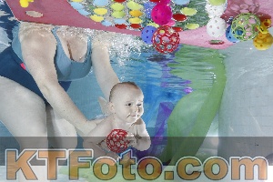 Photo 4301505