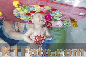 Photo 4301507