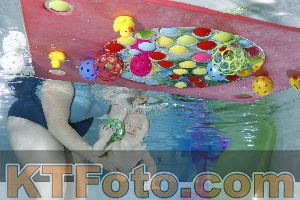 Photo 4301508