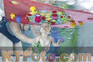 Photo 4301509