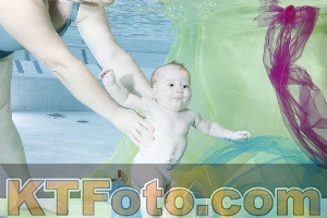 Photo 4301534