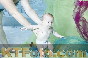 Photo 4301536