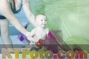 Photo 4301539