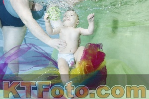 Photo 4301543