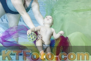 Photo 4301545