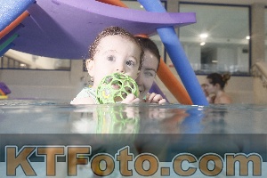 Photo 4301573