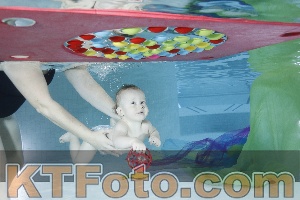 Photo 4301589