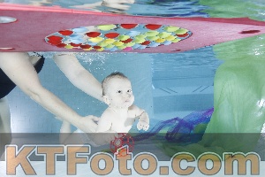 Photo 4301590
