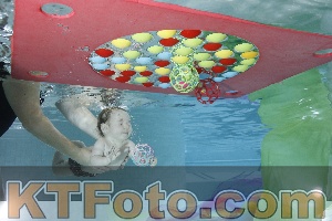 Foto 4301592