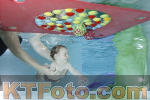 Foto 4301593
