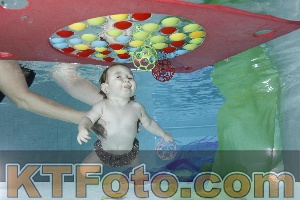 Foto 4301594