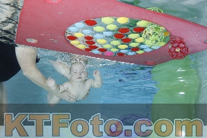 Foto 4301595