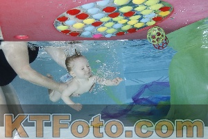 Foto 4301599