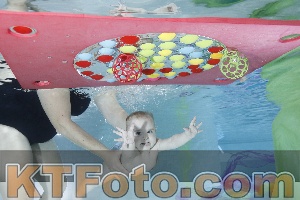 Photo 4301603