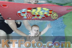 Photo 4301604