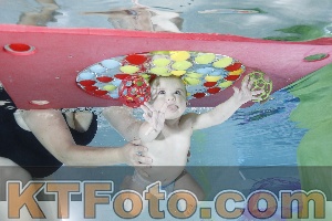 Photo 4301605