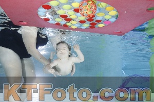 Photo 4301606