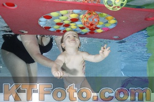 Photo 4301609