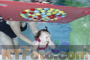 Photo 4301611
