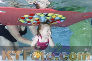 Photo 4301612