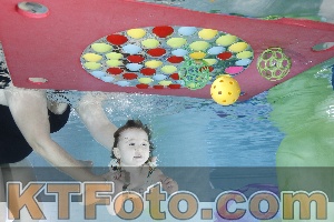 Photo 4301613