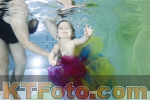 Photo 4301659
