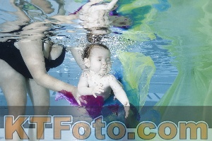 Photo 4301661