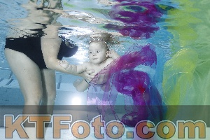 Photo 4301670