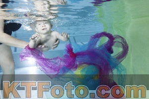 Photo 4301674