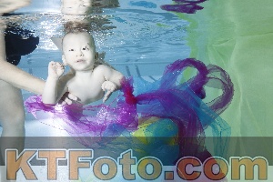 Photo 4301675