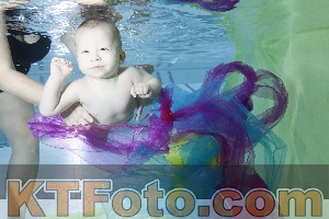 Photo 4301676