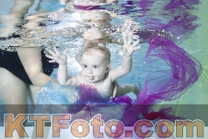 Photo 4301678