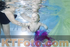 Photo 4301683